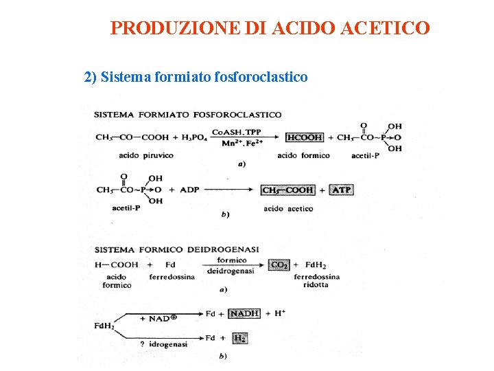 PRODUZIONE DI ACIDO ACETICO 2) Sistema formiato fosforoclastico 