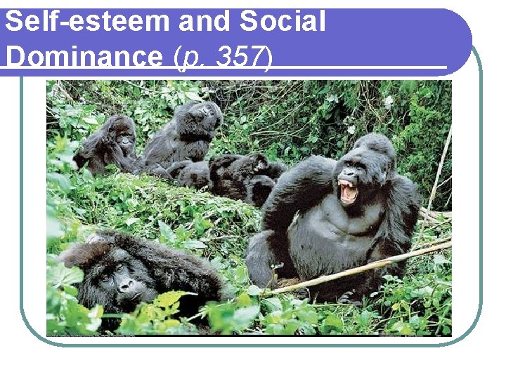 Self-esteem and Social Dominance (p. 357) 