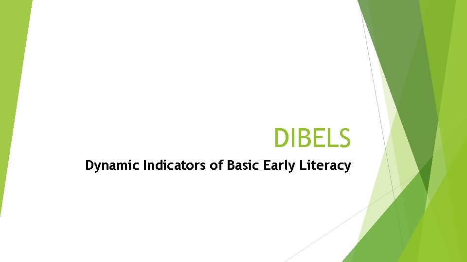 DIBELS Dynamic Indicators of Basic Early Literacy 