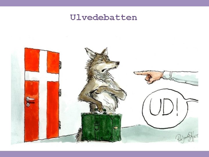 Ulvedebatten 