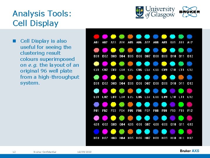 Analysis Tools: Cell Display n Cell Display is also useful for seeing the clustering