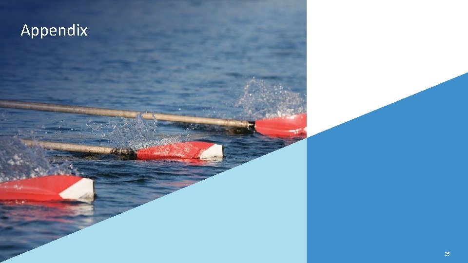 Appendix 25 