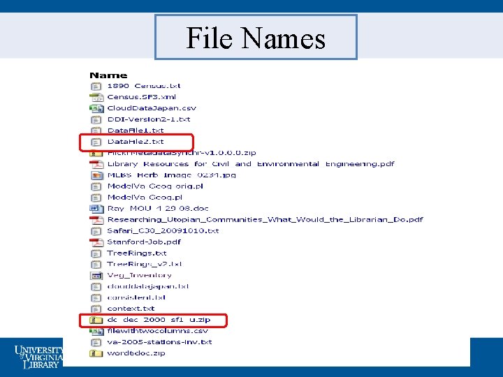 File Names 