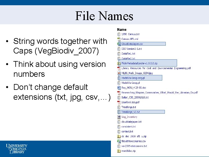 File Names • String words together with Caps (Veg. Biodiv_2007) • Think about using