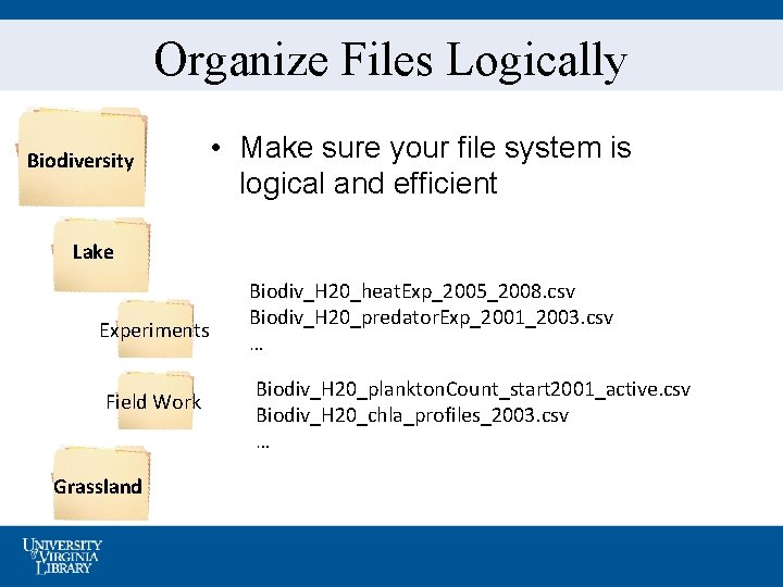 Organize Files Logically Biodiversity • Make sure your file system is logical and efficient