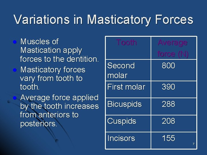 Variations in Masticatory Forces l l l Muscles of Mastication apply forces to the