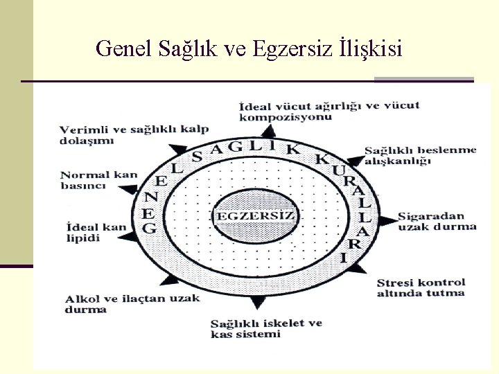 Genel Sağlık ve Egzersiz İlişkisi 