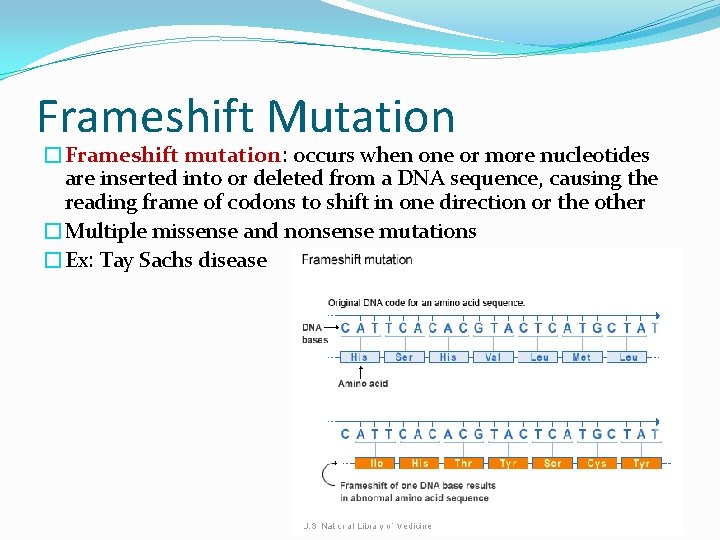 Frameshift Mutation �Frameshift mutation: occurs when one or more nucleotides are inserted into or