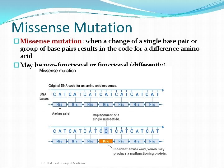 Missense Mutation �Missense mutation: when a change of a single base pair or group