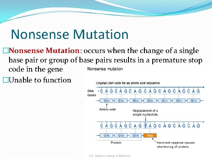 Nonsense Mutation �Nonsense Mutation: occurs when the change of a single base pair or