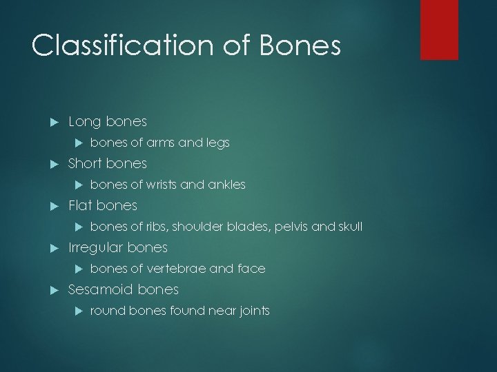 Classification of Bones Long bones Short bones of ribs, shoulder blades, pelvis and skull