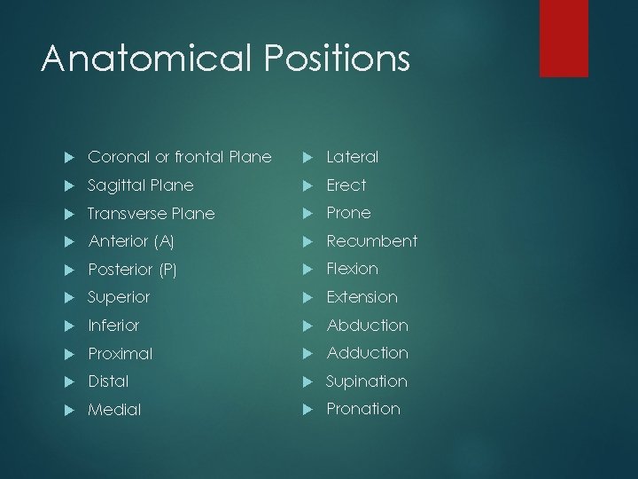 Anatomical Positions Coronal or frontal Plane Lateral Sagittal Plane Erect Transverse Plane Prone Anterior