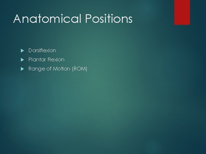 Anatomical Positions Dorsiflexion Plantar Flexion Range of Motion (ROM) 