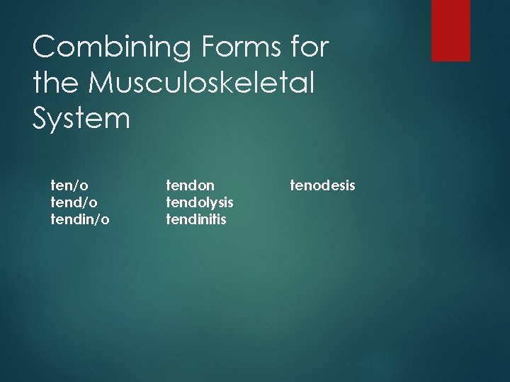 Combining Forms for the Musculoskeletal System ten/o tendin/o tendon tendolysis tendinitis tenodesis 