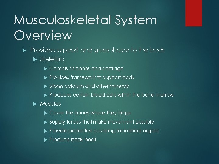 Musculoskeletal System Overview Provides support and gives shape to the body Skeleton: Consists of