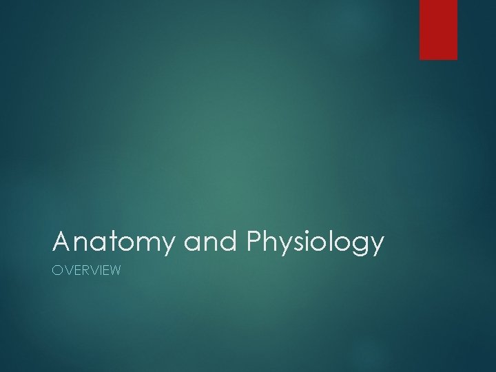 Anatomy and Physiology OVERVIEW 