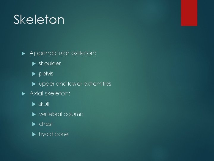 Skeleton Appendicular skeleton: shoulder pelvis upper and lower extremities Axial skeleton: skull vertebral column