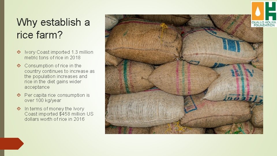 Why establish a rice farm? Ivory Coast imported 1. 3 million metric tons of