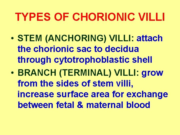 TYPES OF CHORIONIC VILLI • STEM (ANCHORING) VILLI: attach the chorionic sac to decidua