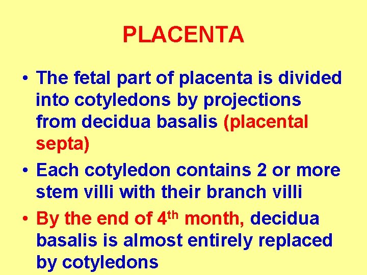 PLACENTA • The fetal part of placenta is divided into cotyledons by projections from