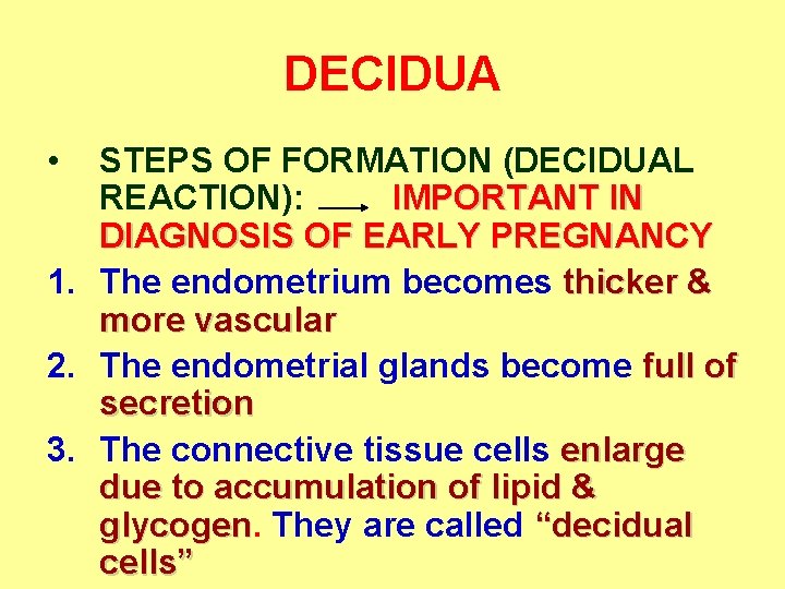 DECIDUA • STEPS OF FORMATION (DECIDUAL REACTION): IMPORTANT IN DIAGNOSIS OF EARLY PREGNANCY 1.