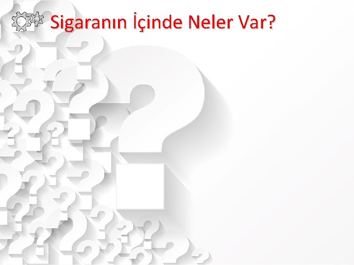 Sigaranın İçinde Neler Var? 