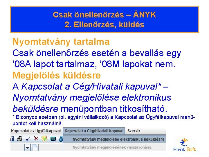 Csak önellenőrzés – ÁNYK 2. Ellenőrzés, küldés Nyomtatvány tartalma Csak önellenőrzés esetén a bevallás