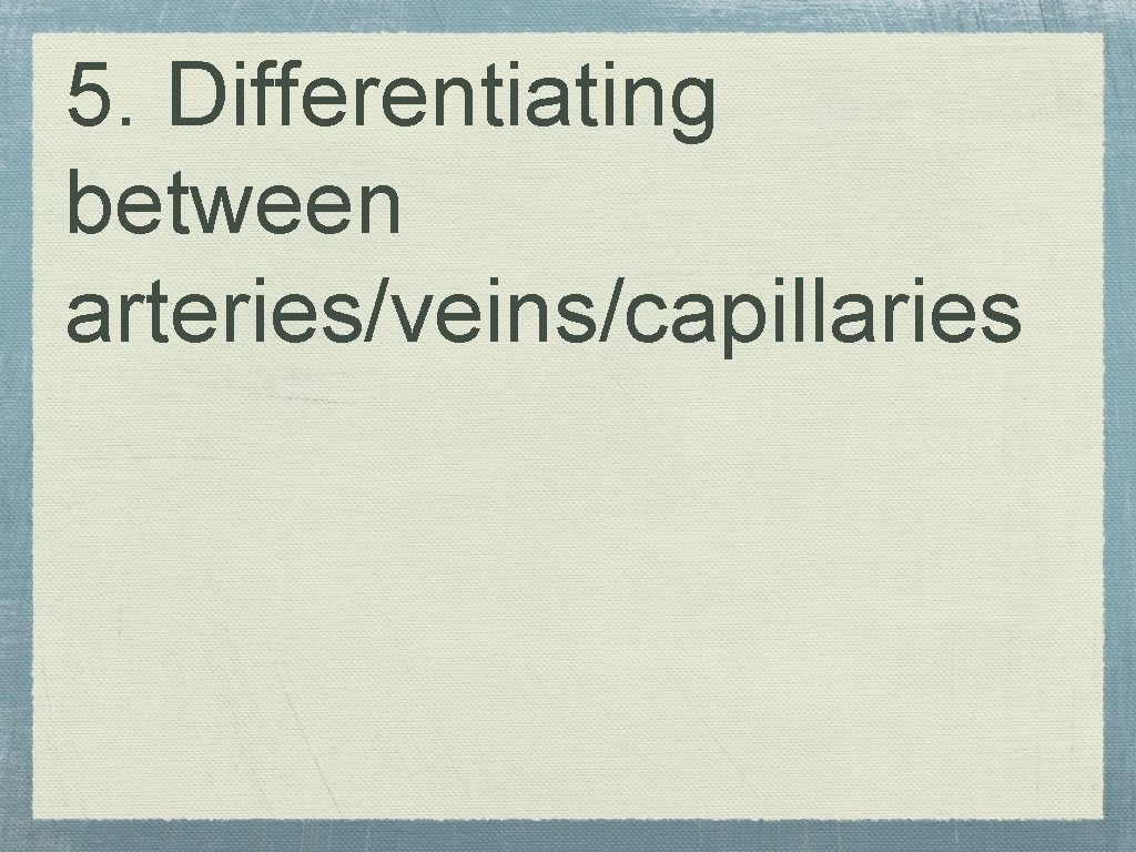 5. Differentiating between arteries/veins/capillaries 