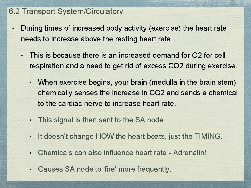 6. 2 Transport System/Circulatory • During times of increased body activity (exercise) the heart