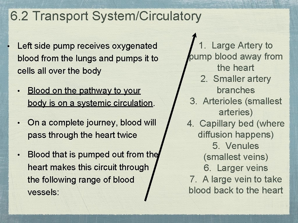 6. 2 Transport System/Circulatory • Left side pump receives oxygenated blood from the lungs