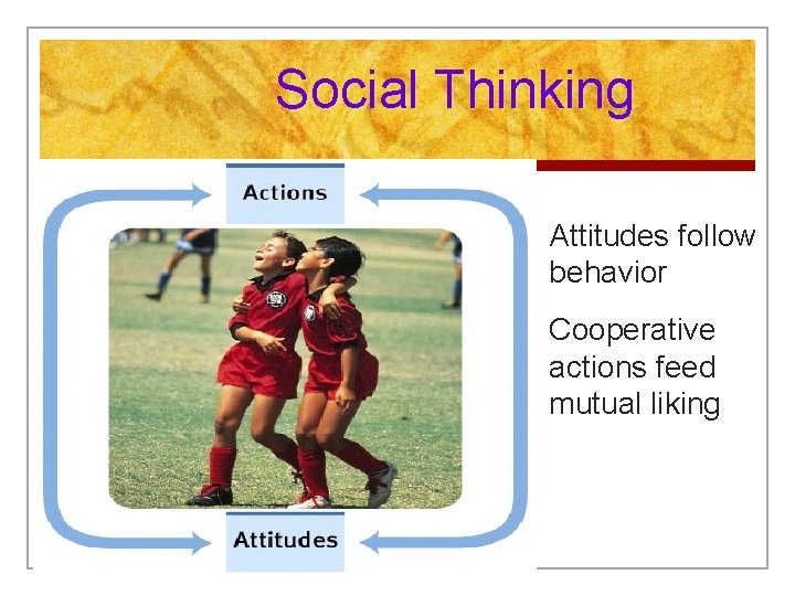 Social Thinking § Attitudes follow behavior § Cooperative actions feed mutual liking 