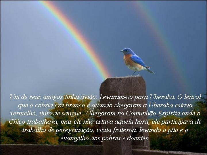 Um de seus amigos tinha avião. Levaram-no para Uberaba. O lençol que o cobria