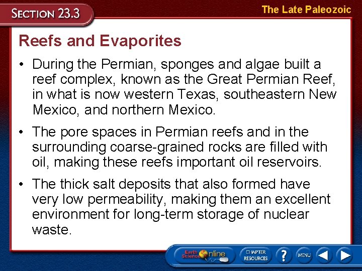 The Late Paleozoic Reefs and Evaporites • During the Permian, sponges and algae built