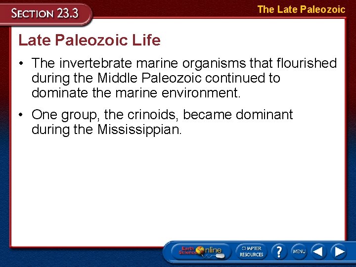The Late Paleozoic Life • The invertebrate marine organisms that flourished during the Middle
