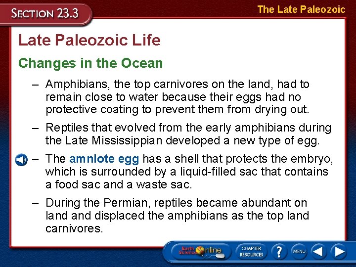 The Late Paleozoic Life Changes in the Ocean – Amphibians, the top carnivores on