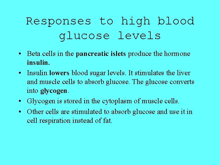 Responses to high blood glucose levels • Beta cells in the pancreatic islets produce