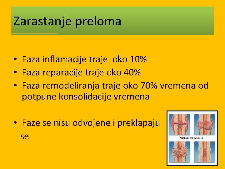 Zarastanje preloma • Faza inflamacije traje oko 10% • Faza reparacije traje oko 40%