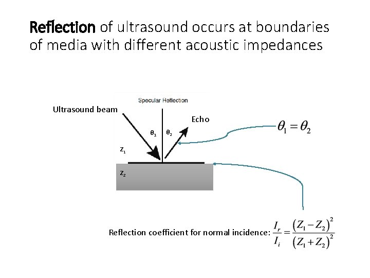 Reflection of ultrasound occurs at boundaries of media with different acoustic impedances Ultrasound beam