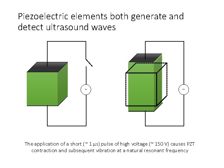 Piezoelectric elements both generate and detect ultrasound waves ~ ~ The application of a