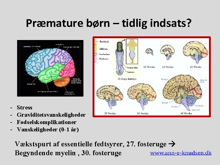  Præmature børn – tidlig indsats? - Stress Graviditetsvanskeligheder Fødselskomplikationer Vanskeligheder (0 -1 år)