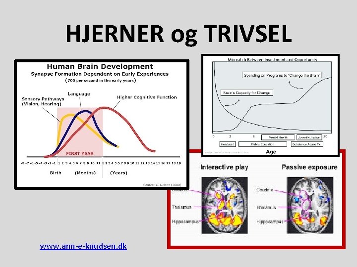 HJERNER og TRIVSEL www. ann-e-knudsen. dk 