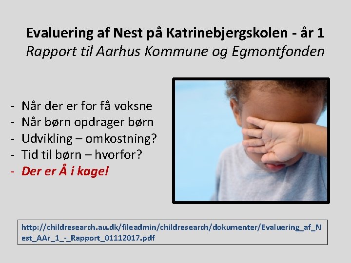 Evaluering af Nest på Katrinebjergskolen - år 1 Rapport til Aarhus Kommune og Egmontfonden