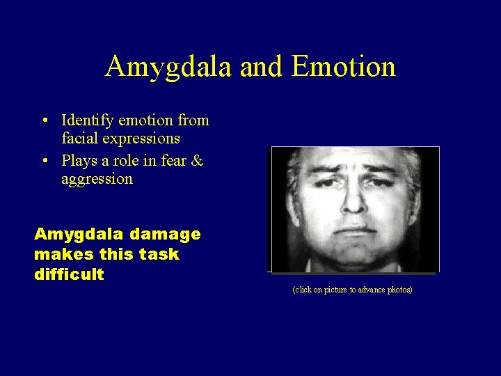 Amygdala and Emotion • Identify emotion from facial expressions • Plays a role in