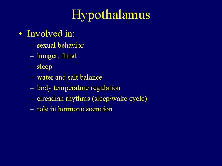 Hypothalamus • Involved in: – – – – sexual behavior hunger, thirst sleep water