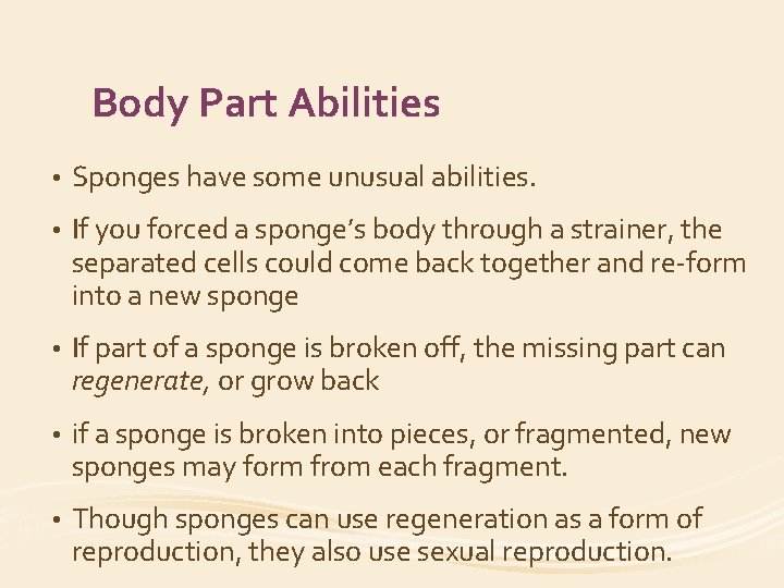 Body Part Abilities • Sponges have some unusual abilities. • If you forced a