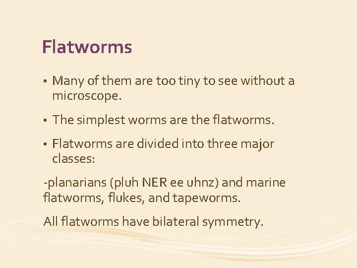 Flatworms • Many of them are too tiny to see without a microscope. •