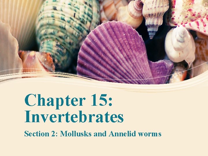 Chapter 15: Invertebrates Section 2: Mollusks and Annelid worms 