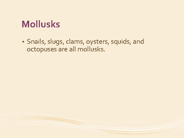 Mollusks • Snails, slugs, clams, oysters, squids, and octopuses are all mollusks. 