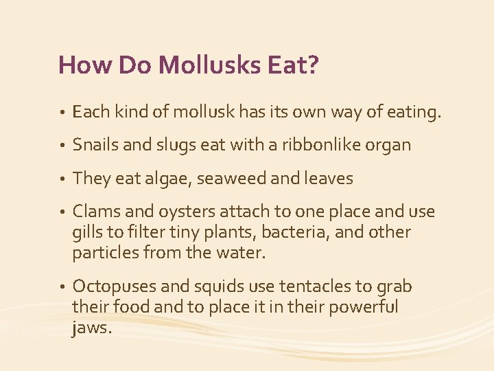 How Do Mollusks Eat? • Each kind of mollusk has its own way of