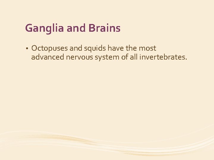 Ganglia and Brains • Octopuses and squids have the most advanced nervous system of